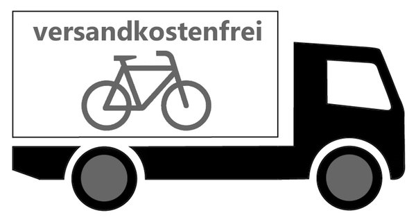 Riese & Müller E-Bike "Cruiser rücktritt" (versch. Rahmenhöhen)