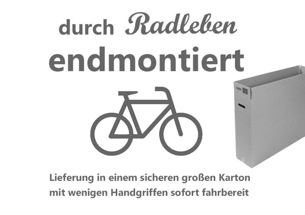 28" E-Bike DIAMANT - Trekking "JUNA Deluxe +" 50 cm, Tiefschwarz