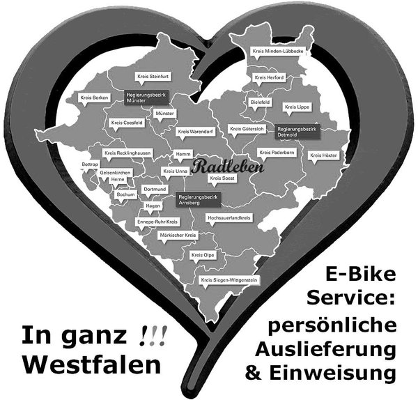 28" DIAMANT "Beryll Deluxe +" Tief E-Bike Weiss, Gr. L (Rücktritt)